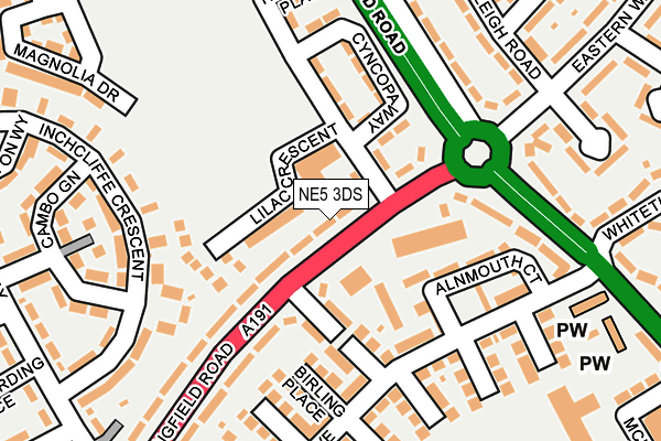 NE5 3DS map - OS OpenMap – Local (Ordnance Survey)