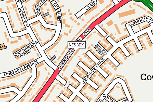 NE5 3DX map - OS OpenMap – Local (Ordnance Survey)