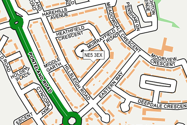 NE5 3EX map - OS OpenMap – Local (Ordnance Survey)