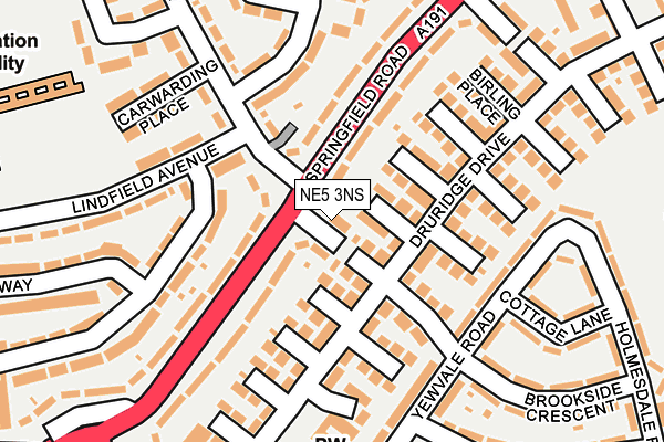 NE5 3NS map - OS OpenMap – Local (Ordnance Survey)