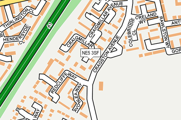 NE5 3SF map - OS OpenMap – Local (Ordnance Survey)