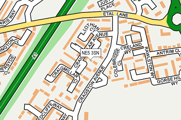 NE5 3SN map - OS OpenMap – Local (Ordnance Survey)