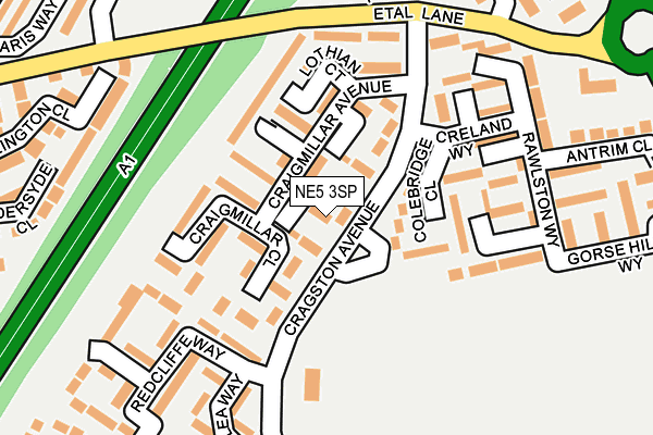 NE5 3SP map - OS OpenMap – Local (Ordnance Survey)