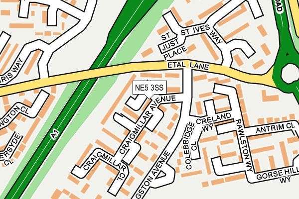 NE5 3SS map - OS OpenMap – Local (Ordnance Survey)