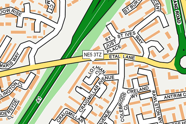 NE5 3TZ map - OS OpenMap – Local (Ordnance Survey)