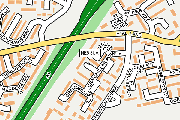 NE5 3UA map - OS OpenMap – Local (Ordnance Survey)