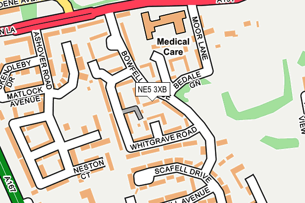 NE5 3XB map - OS OpenMap – Local (Ordnance Survey)