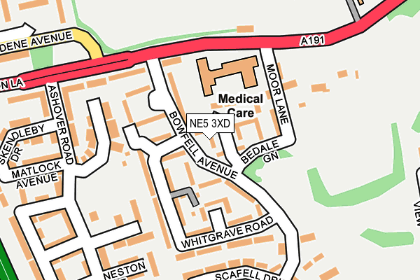 NE5 3XD map - OS OpenMap – Local (Ordnance Survey)