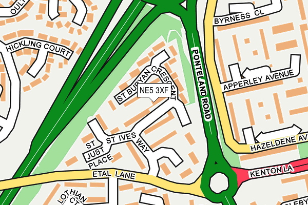 NE5 3XF map - OS OpenMap – Local (Ordnance Survey)