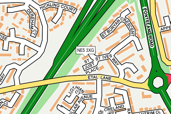 NE5 3XG map - OS OpenMap – Local (Ordnance Survey)