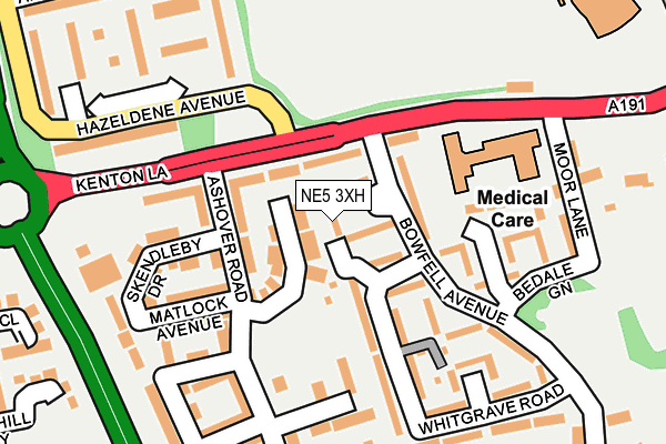 NE5 3XH map - OS OpenMap – Local (Ordnance Survey)