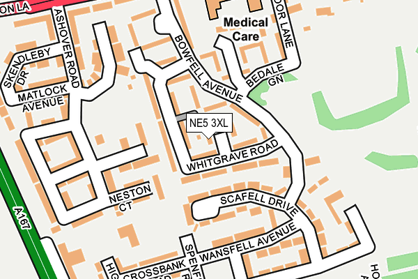 NE5 3XL map - OS OpenMap – Local (Ordnance Survey)