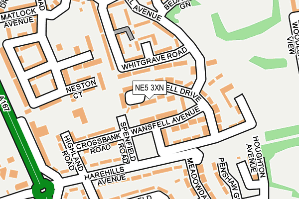 NE5 3XN map - OS OpenMap – Local (Ordnance Survey)