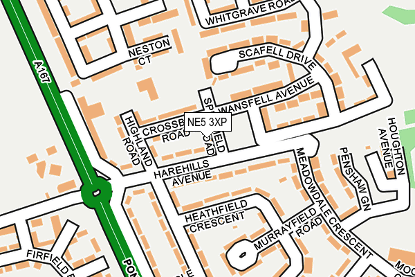 NE5 3XP map - OS OpenMap – Local (Ordnance Survey)