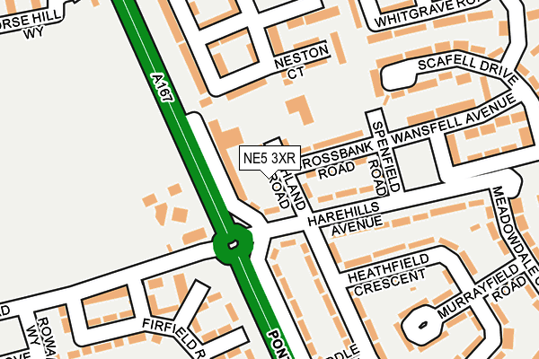 NE5 3XR map - OS OpenMap – Local (Ordnance Survey)