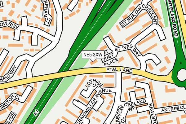 NE5 3XW map - OS OpenMap – Local (Ordnance Survey)
