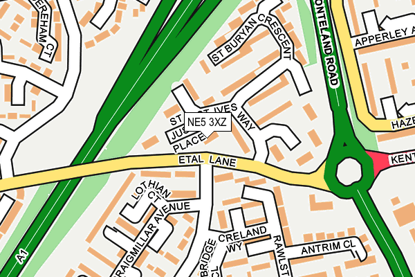 NE5 3XZ map - OS OpenMap – Local (Ordnance Survey)