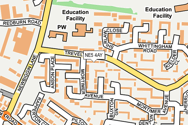 NE5 4AY map - OS OpenMap – Local (Ordnance Survey)