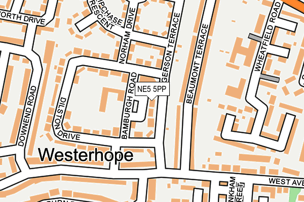 NE5 5PP map - OS OpenMap – Local (Ordnance Survey)