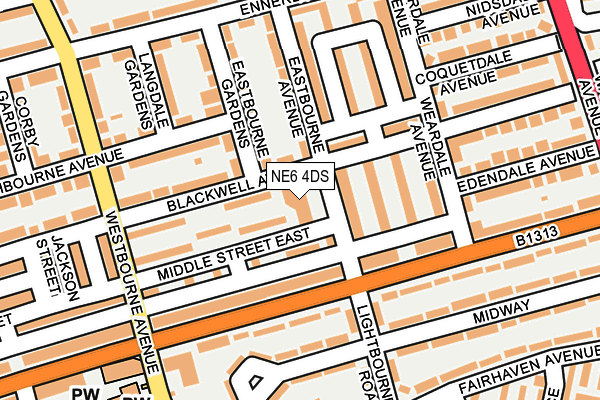 NE6 4DS map - OS OpenMap – Local (Ordnance Survey)