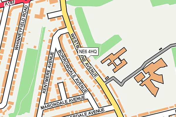 NE6 4HQ map - OS OpenMap – Local (Ordnance Survey)