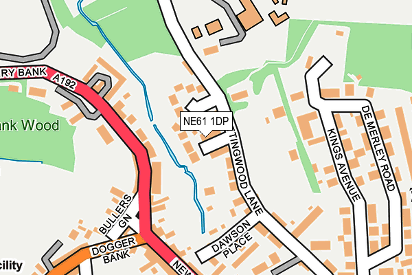 NE61 1DP map - OS OpenMap – Local (Ordnance Survey)