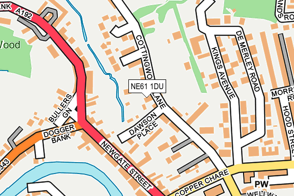 NE61 1DU map - OS OpenMap – Local (Ordnance Survey)