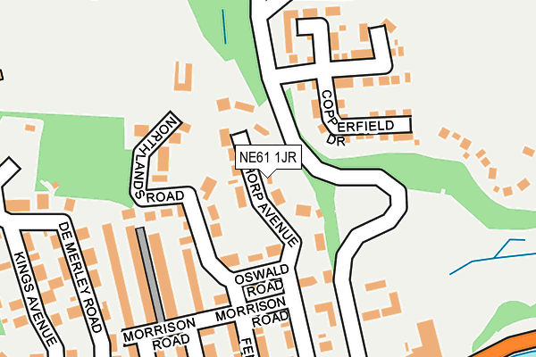 NE61 1JR map - OS OpenMap – Local (Ordnance Survey)