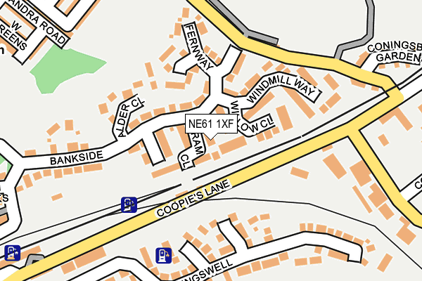 NE61 1XF map - OS OpenMap – Local (Ordnance Survey)
