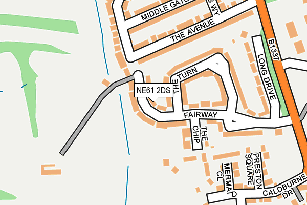 NE61 2DS map - OS OpenMap – Local (Ordnance Survey)