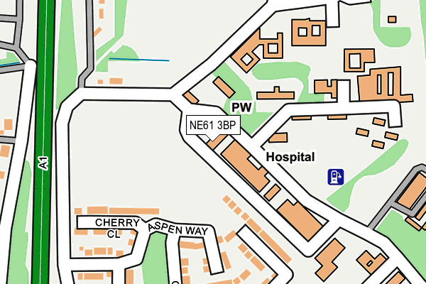 NE61 3BP map - OS OpenMap – Local (Ordnance Survey)
