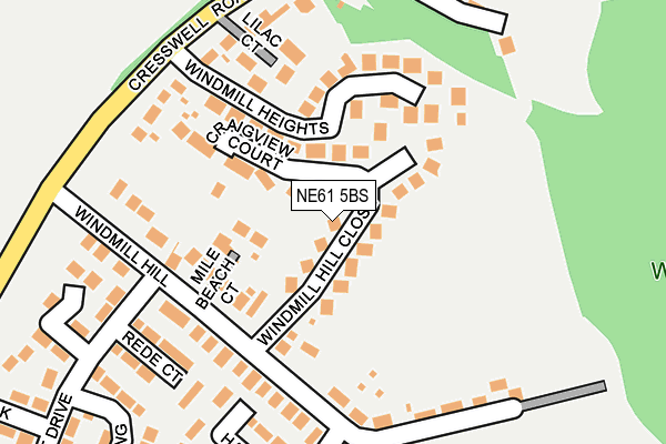 NE61 5BS map - OS OpenMap – Local (Ordnance Survey)