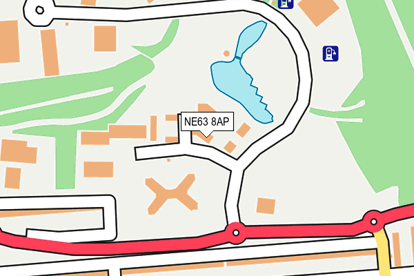 NE63 8AP map - OS OpenMap – Local (Ordnance Survey)