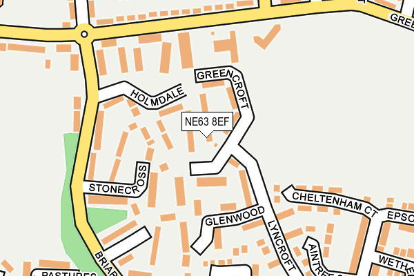 NE63 8EF map - OS OpenMap – Local (Ordnance Survey)