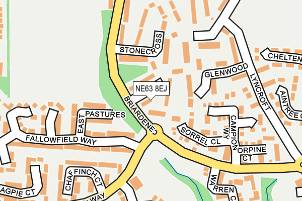 NE63 8EJ map - OS OpenMap – Local (Ordnance Survey)