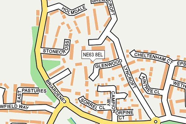 NE63 8EL map - OS OpenMap – Local (Ordnance Survey)