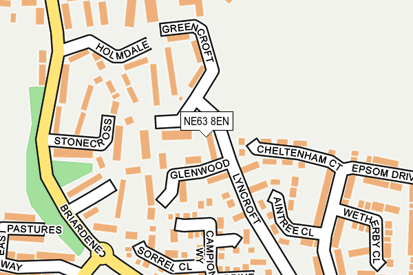 NE63 8EN map - OS OpenMap – Local (Ordnance Survey)