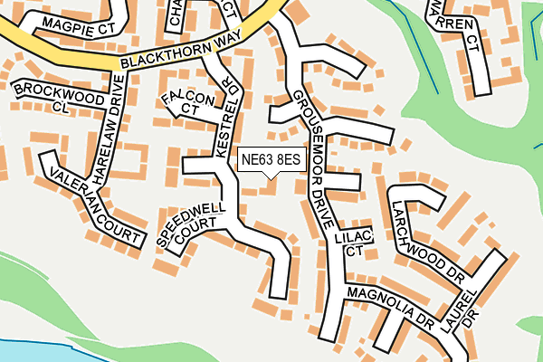 NE63 8ES map - OS OpenMap – Local (Ordnance Survey)
