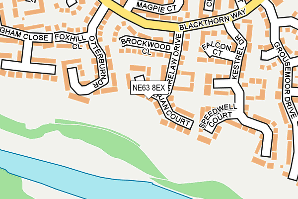 NE63 8EX map - OS OpenMap – Local (Ordnance Survey)