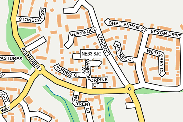NE63 8JG map - OS OpenMap – Local (Ordnance Survey)
