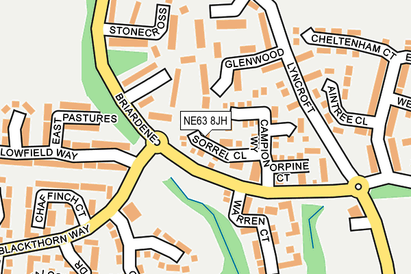 NE63 8JH map - OS OpenMap – Local (Ordnance Survey)