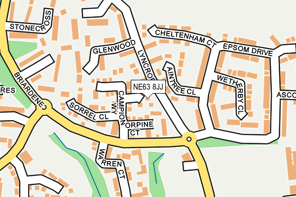 NE63 8JJ map - OS OpenMap – Local (Ordnance Survey)