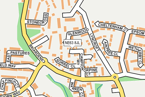 NE63 8JL map - OS OpenMap – Local (Ordnance Survey)