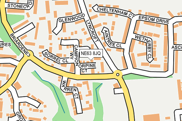 NE63 8JQ map - OS OpenMap – Local (Ordnance Survey)