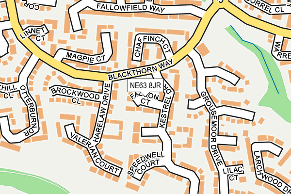 NE63 8JR map - OS OpenMap – Local (Ordnance Survey)