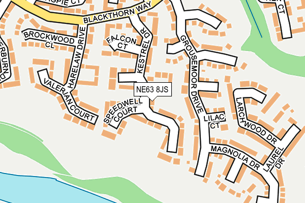 NE63 8JS map - OS OpenMap – Local (Ordnance Survey)