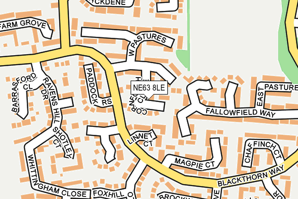 NE63 8LE map - OS OpenMap – Local (Ordnance Survey)