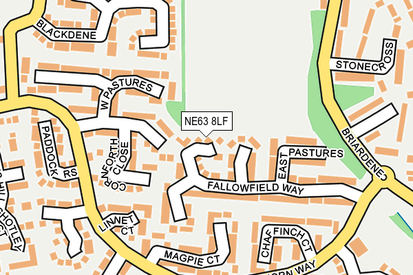 NE63 8LF map - OS OpenMap – Local (Ordnance Survey)