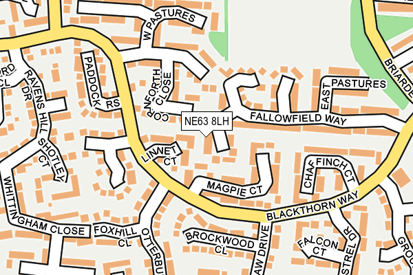 NE63 8LH map - OS OpenMap – Local (Ordnance Survey)