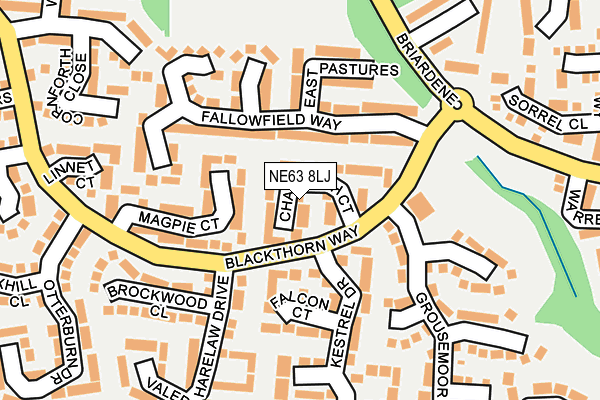 NE63 8LJ map - OS OpenMap – Local (Ordnance Survey)